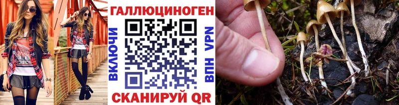 Псилоцибиновые грибы GOLDEN TEACHER  Горнозаводск 